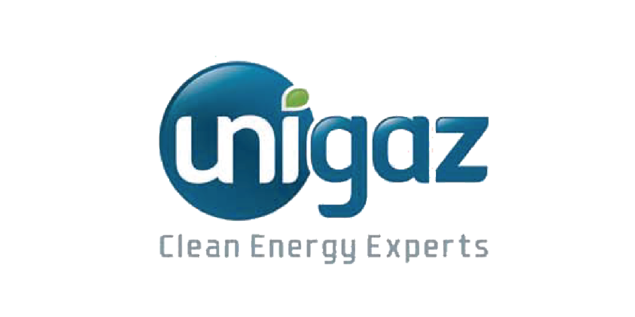 Clean Energy Experts
